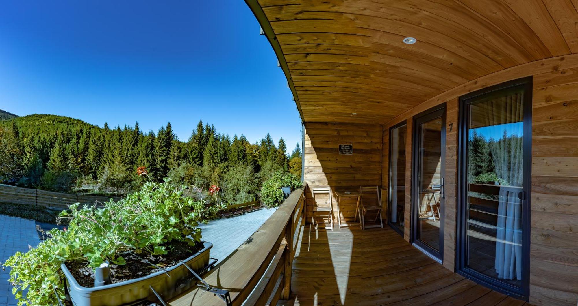 Bed and Breakfast Casa Izvorul Negru Мойсей Екстер'єр фото